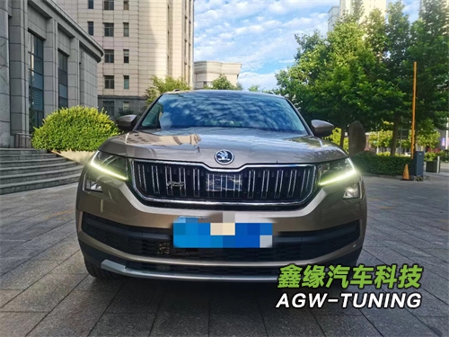 天津斯柯达刷ECU升级英国AGWTUNING1对1特调定制程序