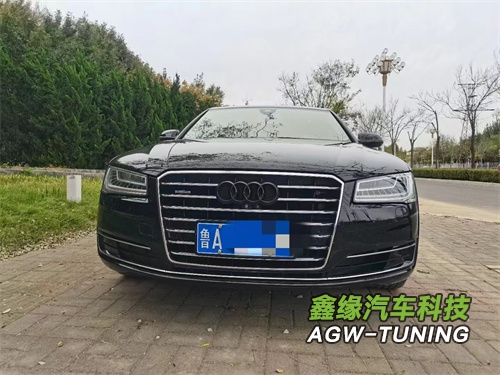 山东德州奥迪A8刷ECU升级英国AGWTUNING1对1特调定制程序